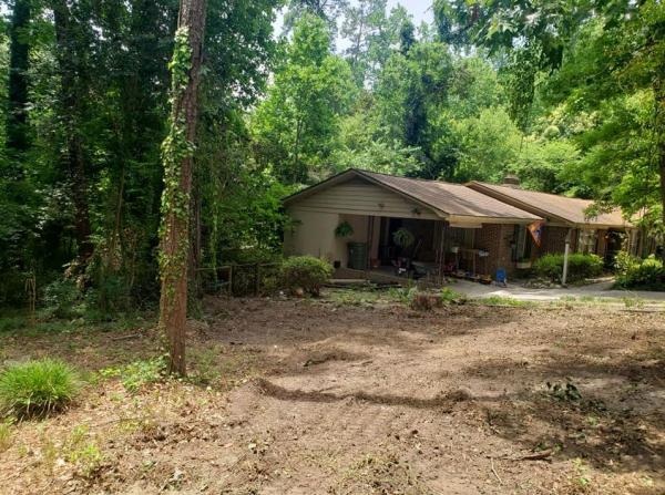 Professional Lot Clearing & Tree Service