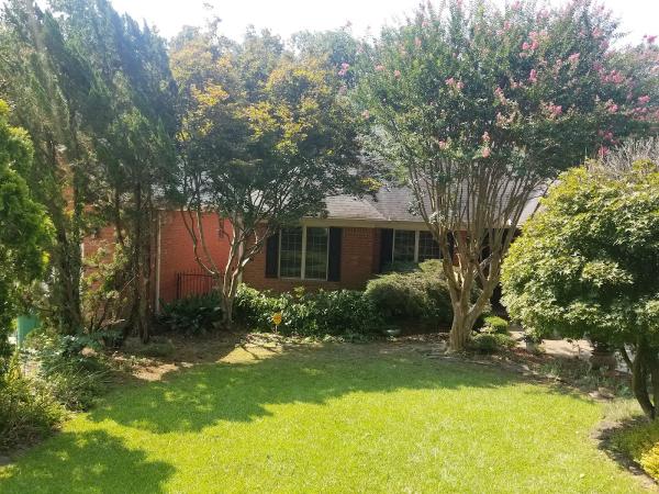 Professional Lot Clearing & Tree Service
