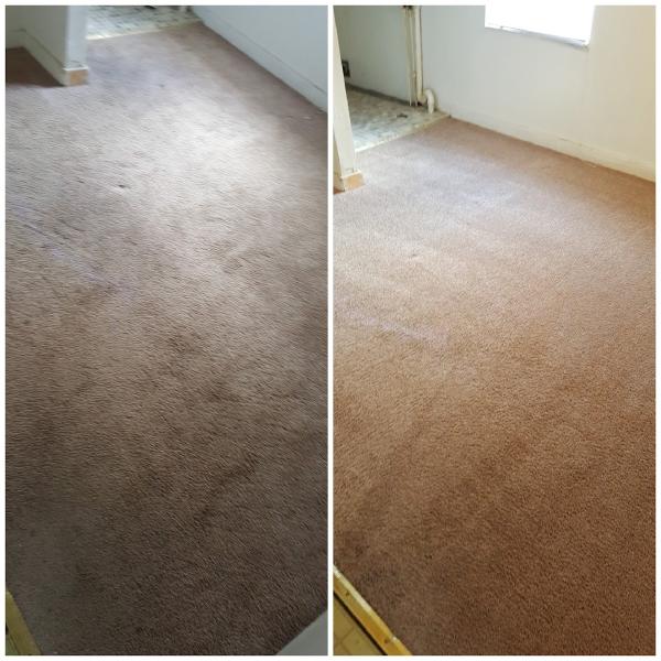 A Plus Carpet Cleaning LLC