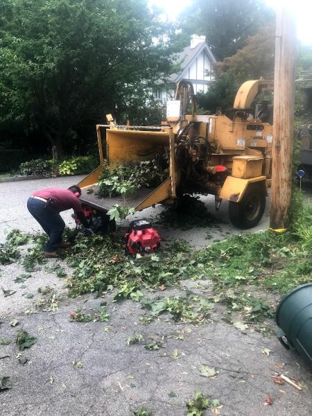 Felix Tree Service