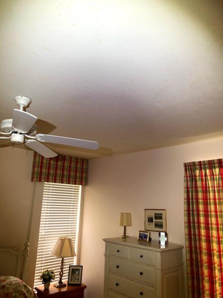 Mold Inspectors