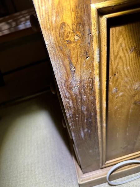 Mold Inspectors