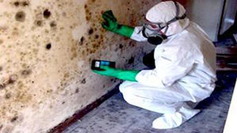 All State Home and Building Inspections