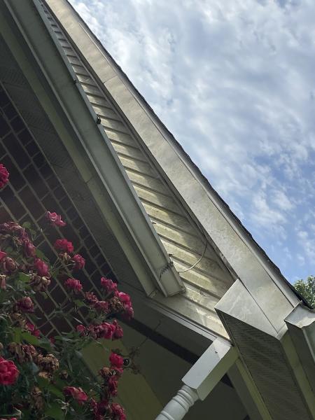 R&N Pressure Washing LLC
