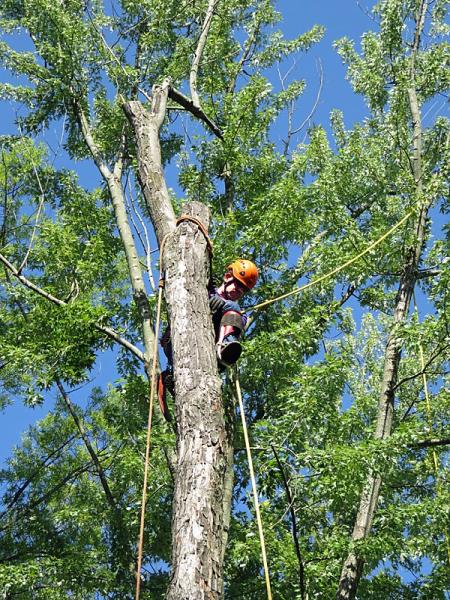 Columbia Tree & Lawn Service