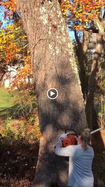 Columbia Tree & Lawn Service