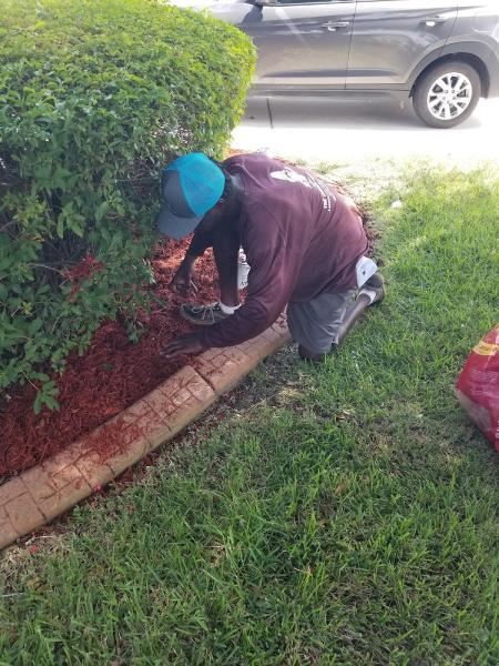 The Garden Gnome Landscaping