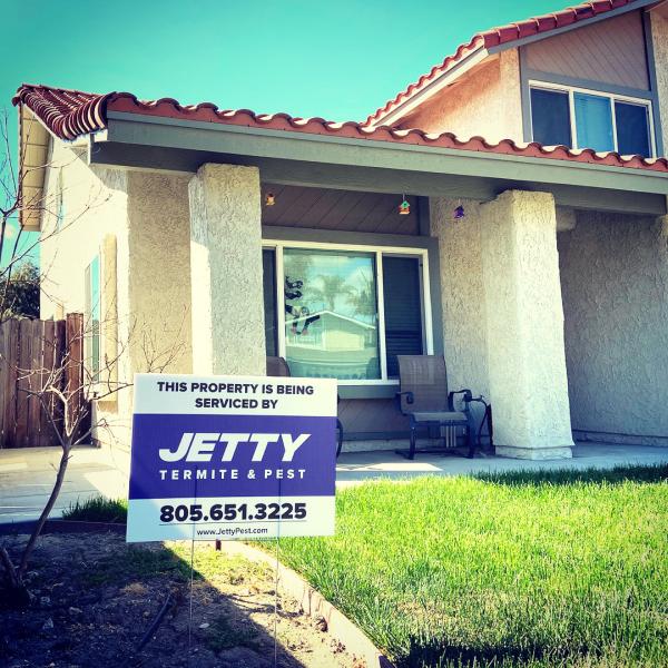 Jetty Termite & Pest Control
