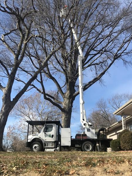 Trenary's Tree Care LLC