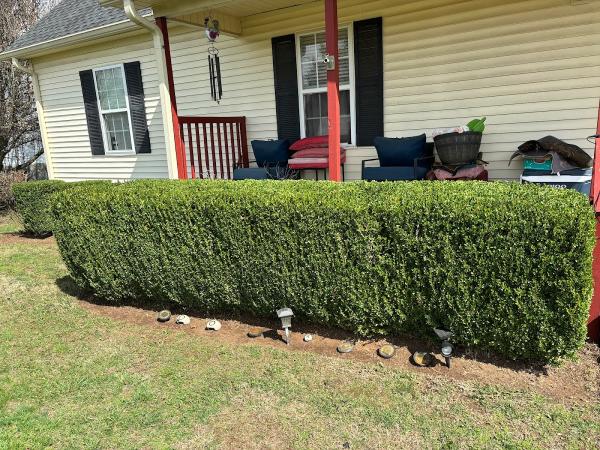 Lawnpro