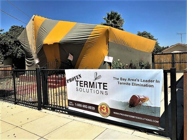 Proven Termite Solutions