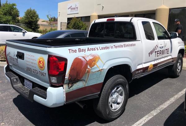 Proven Termite Solutions