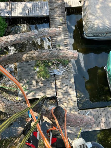 Carr's Tree Service