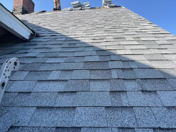 Klaus Roofing Systems by Green Factor