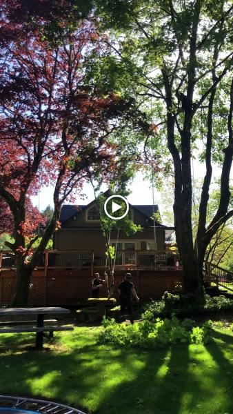 Rich's Tree Service