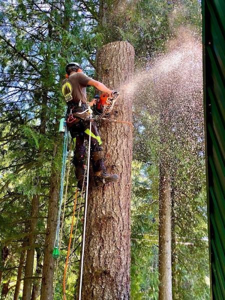 Rich's Tree Service