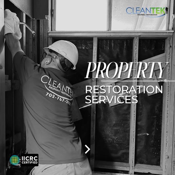 Cleantek