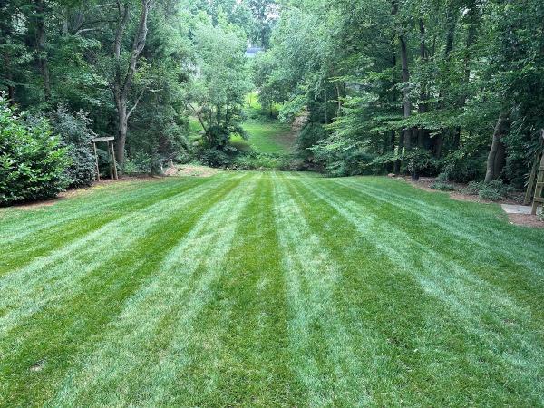 Southern Lawn Care