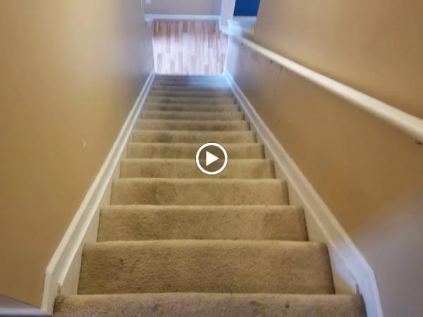 Vericlean Carpet Cleaning