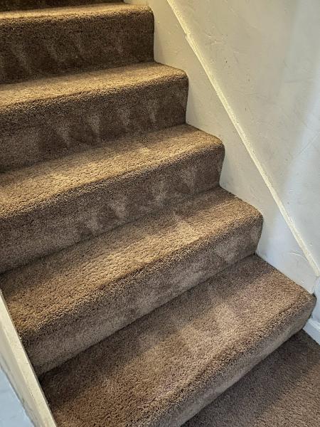 Vericlean Carpet Cleaning