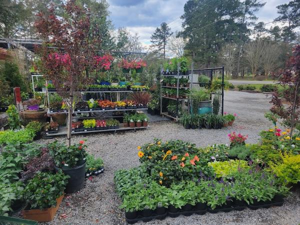Ivy Lanes Nursery & Landscape