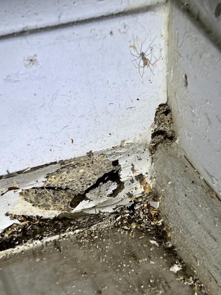Resolve Pest Management