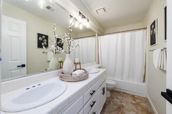 Ashley Provost Design