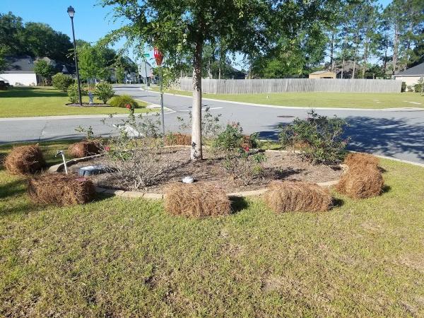 B&H Lawn Care & Howard's Pressure Washing