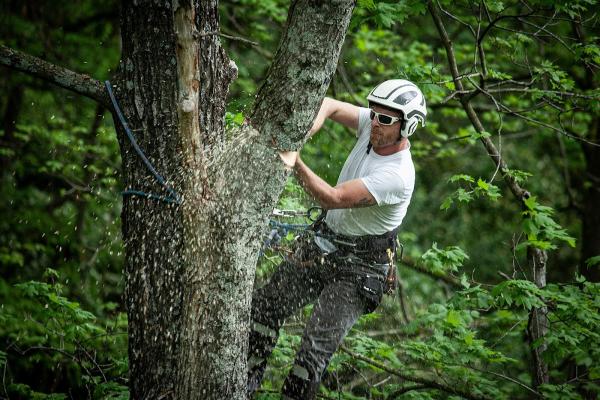Aaron's Outdoors Tree Service