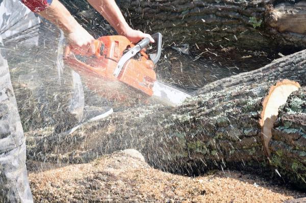 Aaron's Outdoors Tree Service