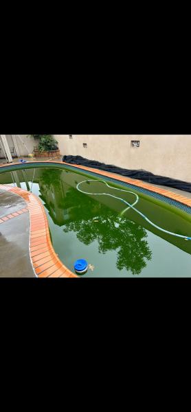 The Lazy Pool Services