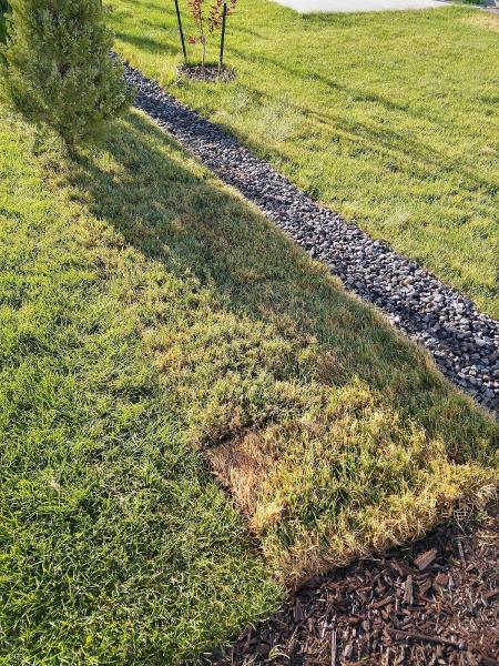 Wright Landscaping