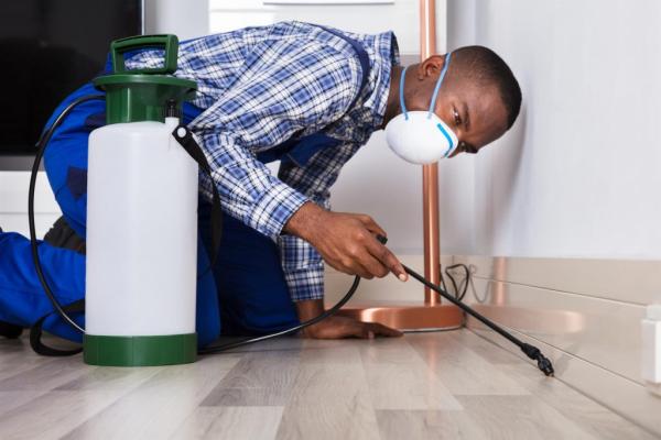 Integrity Pest Solutions