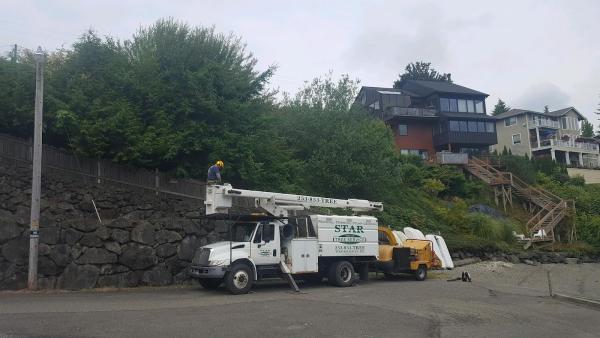 Star Tree Service