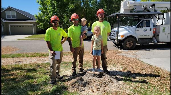 Pieks Tree Service