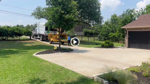 Unchained Tree Services & Firewood
