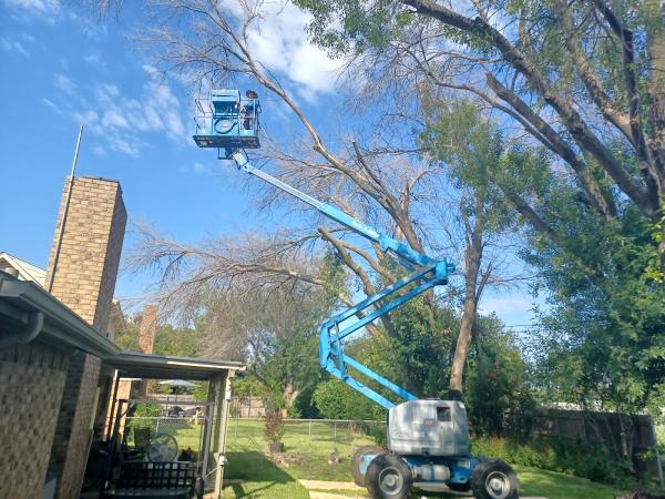 Unchained Tree Services & Firewood