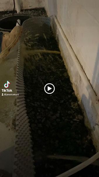 Four Leaf Restoration Waterproofing and Mold Remediation