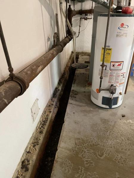 Four Leaf Restoration Waterproofing and Mold Remediation