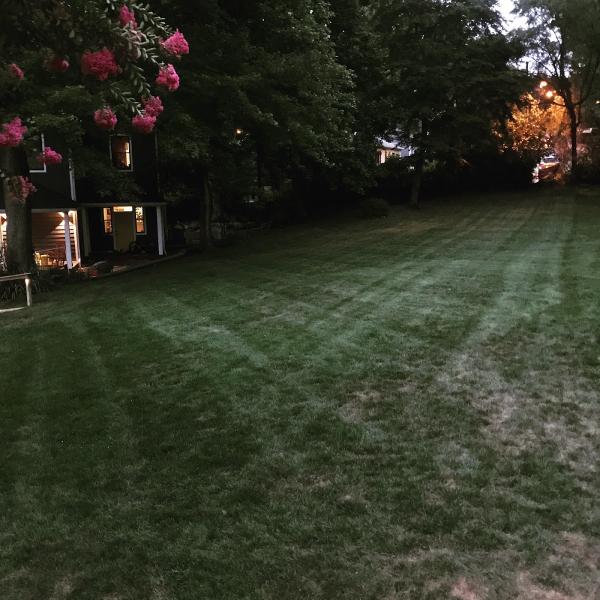 Curtis Lawn Care Llc.