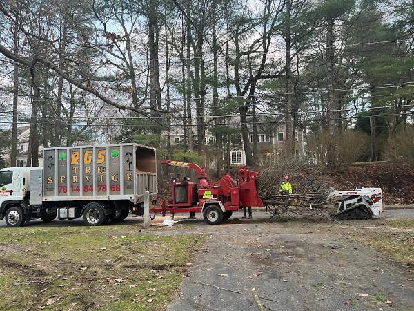 RGS Tree Service Inc
