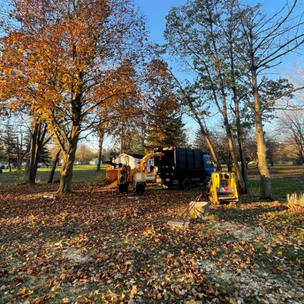 Proza Tree Service