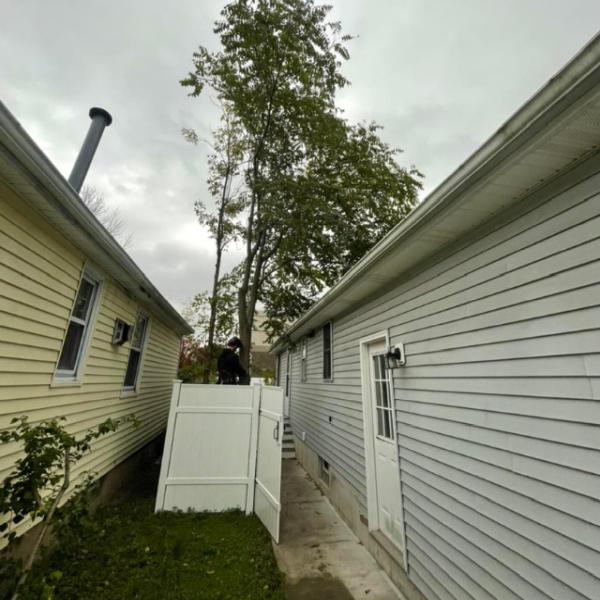 Proza Tree Service
