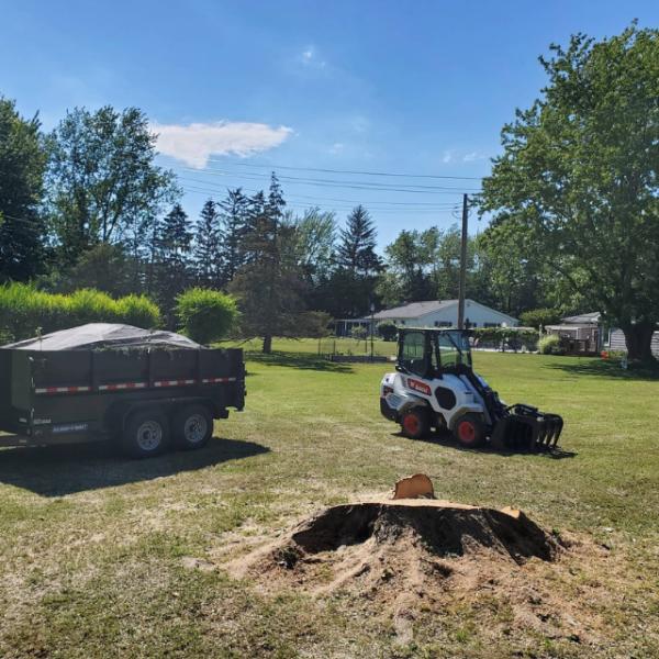 Proza Tree Service