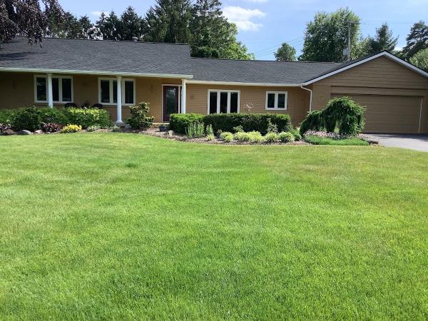 New Look Painting Company LLC