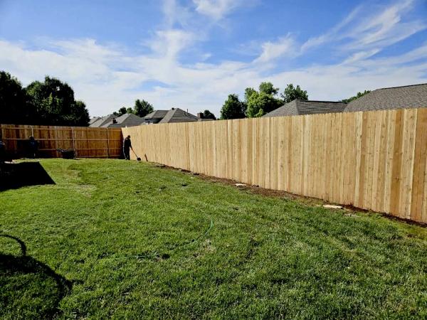 Fowler's Tree & Fence