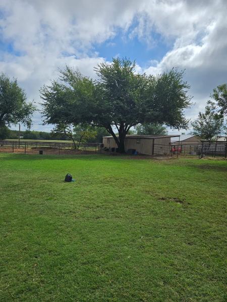 Fowler's Tree & Fence
