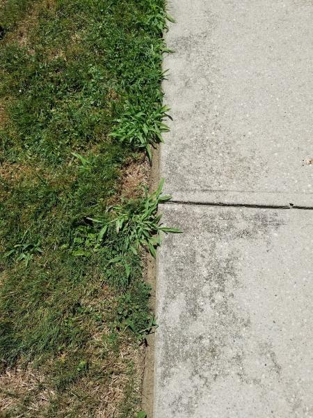 Giannini Landscaping