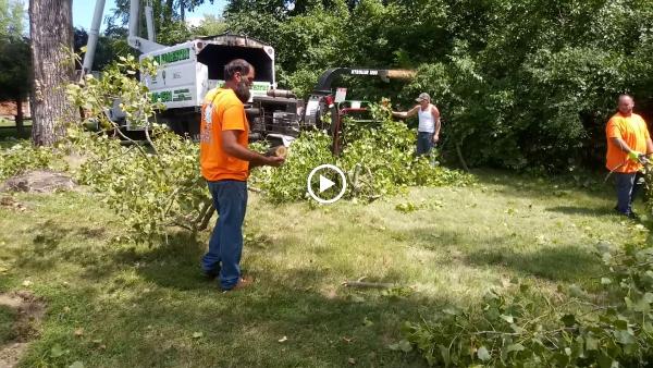 Delong Forestry & Landscaping