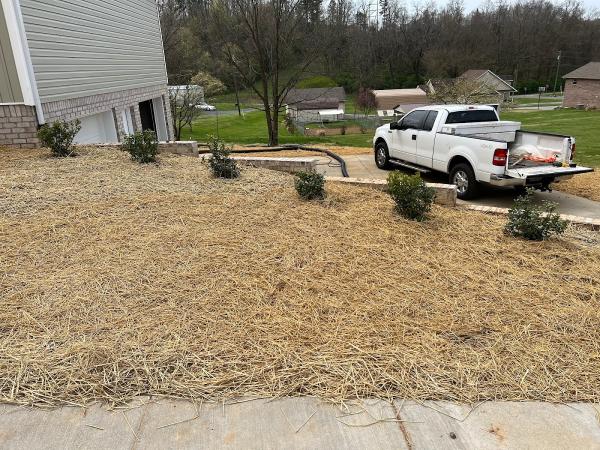 Naturescape LLC